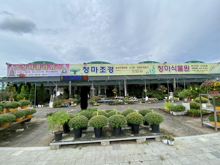 청마조경 이미지