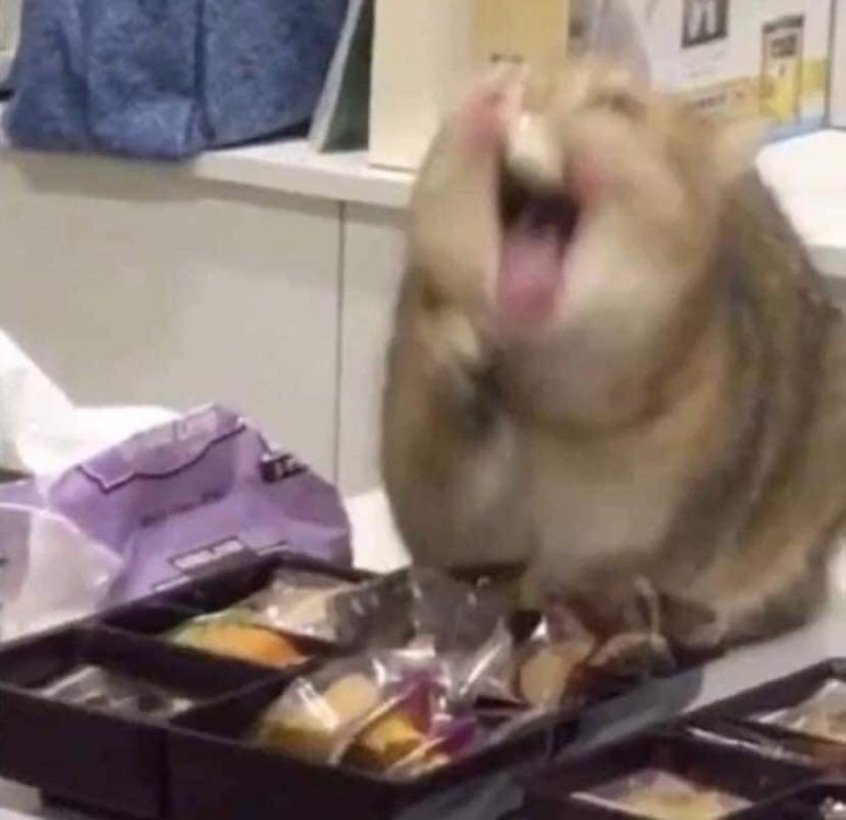 수지냉삼 이미지