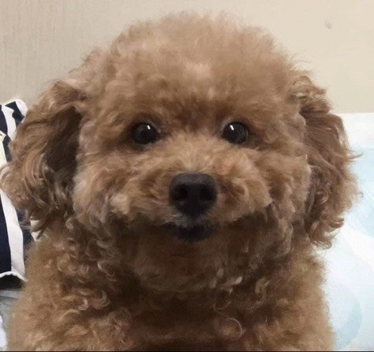 설렘 이미지
