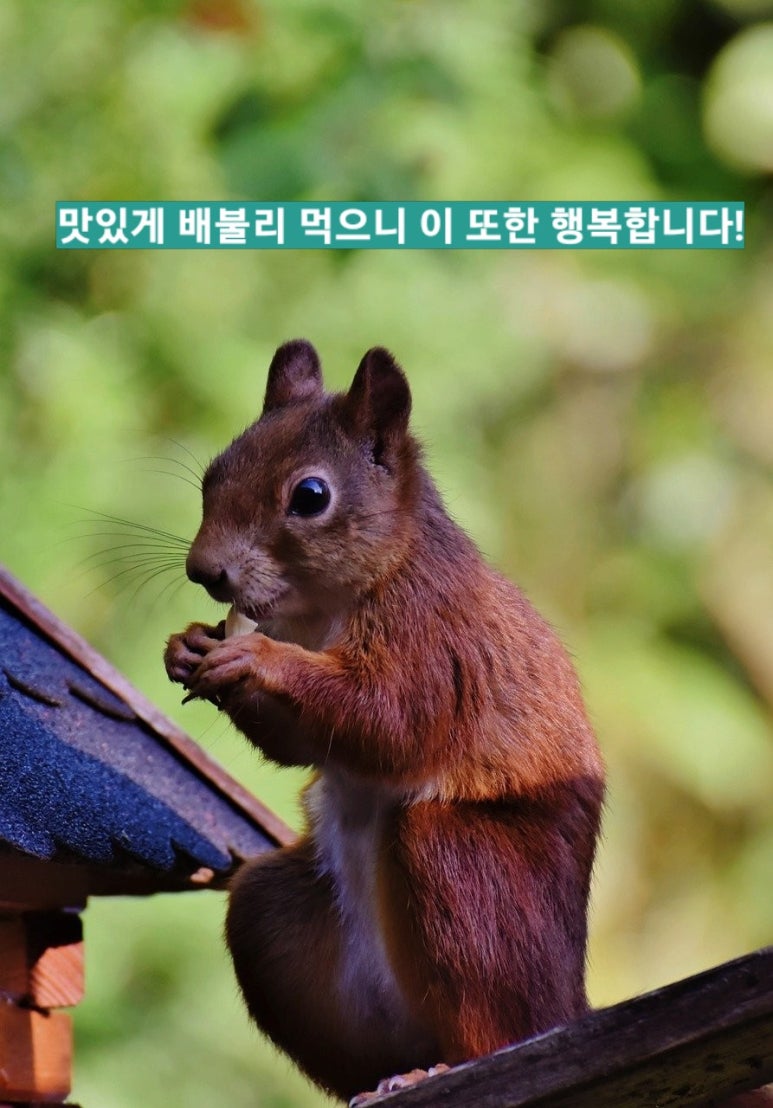 아리랑한식뷔페 이미지
