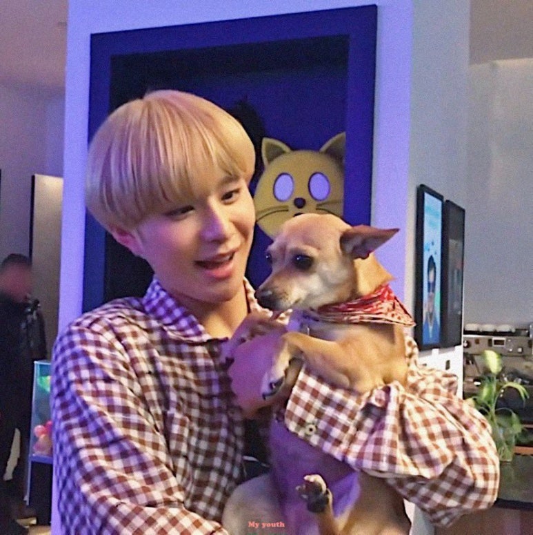 홀리데이호 이미지