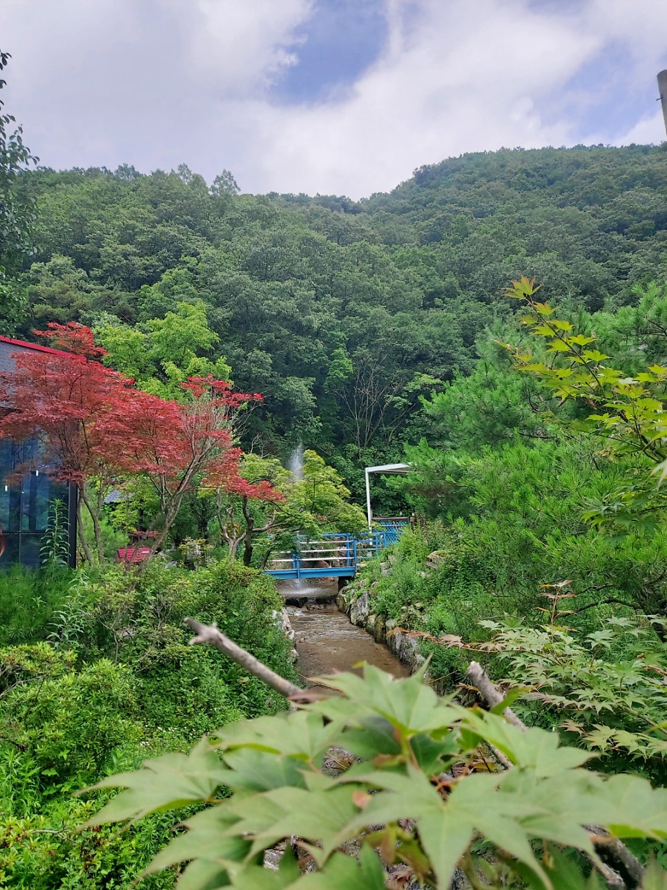 용담리70번지 이미지