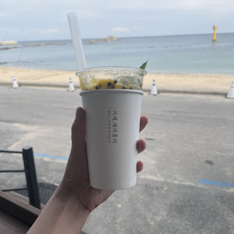 해피홀리 이미지
