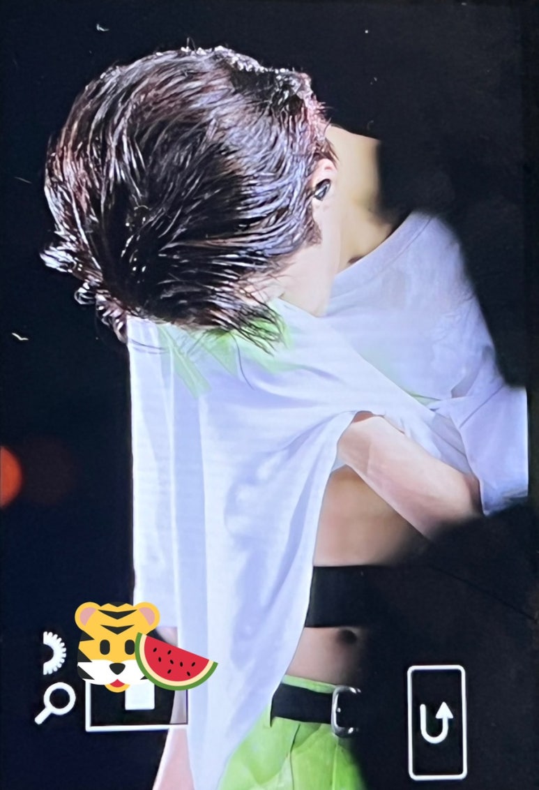 홀리데이호 이미지