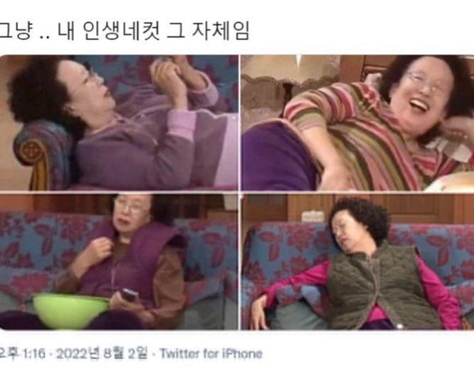 자연참 이미지