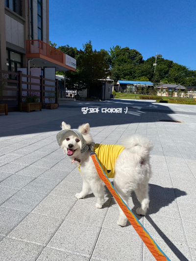 치악고등학교매점 이미지