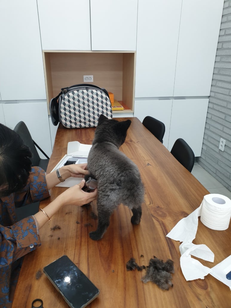 헨리양갈비 이미지