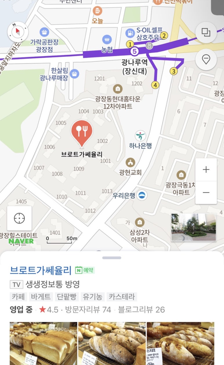 브로트가쎄율리 이미지