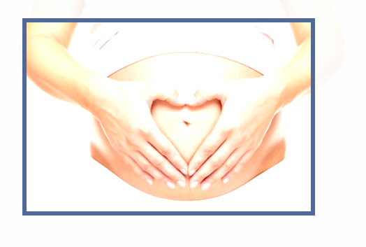전주정선생 이미지