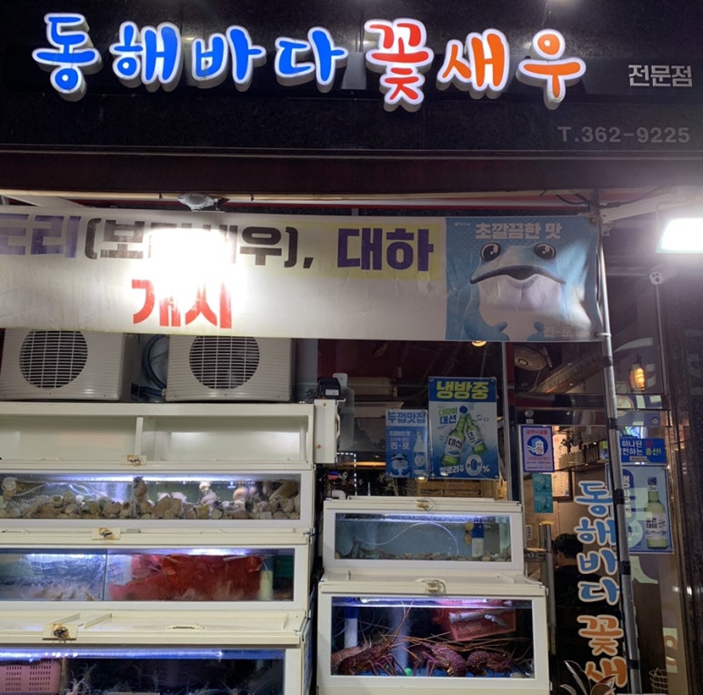동해바다꽃새우 이미지