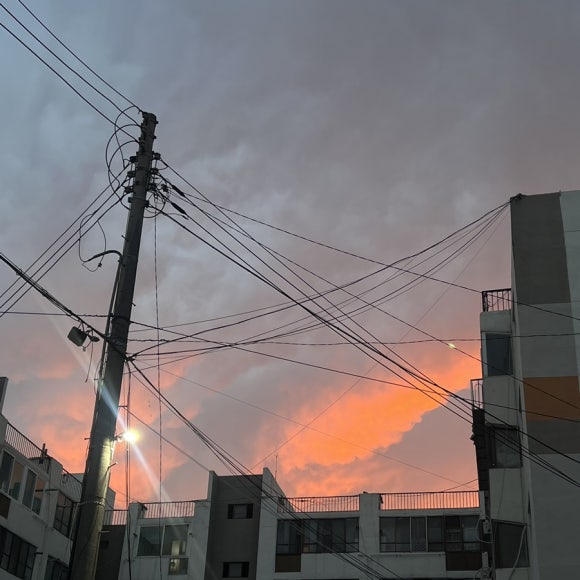 카페루식스 이미지