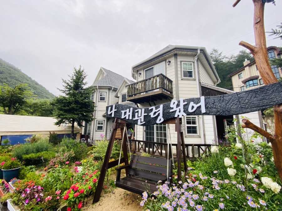 나대관령왔어 이미지