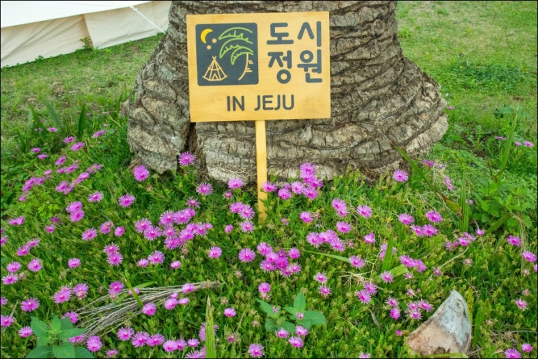 도시정원 이미지