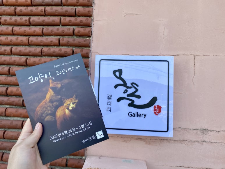 갤러리몽돌 이미지