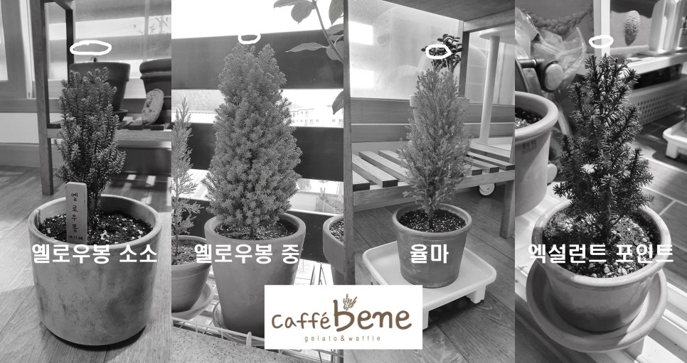 온더그로우 이미지