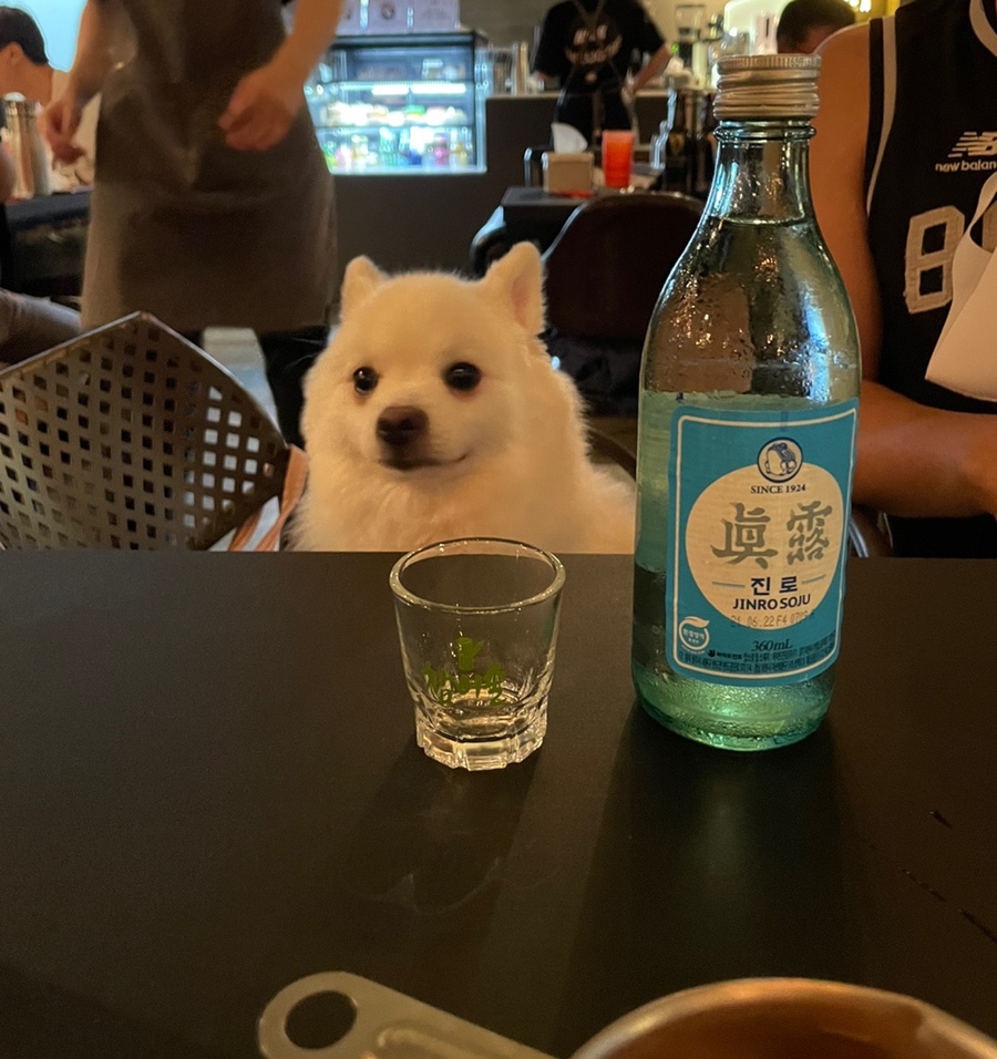 그랑시앤오감쌀롱 이미지