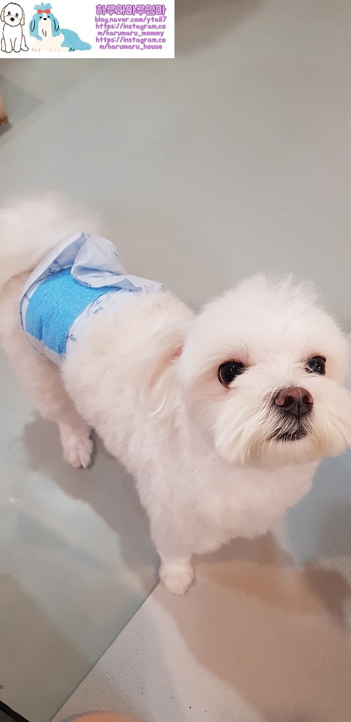 여행마루 2호점 이미지