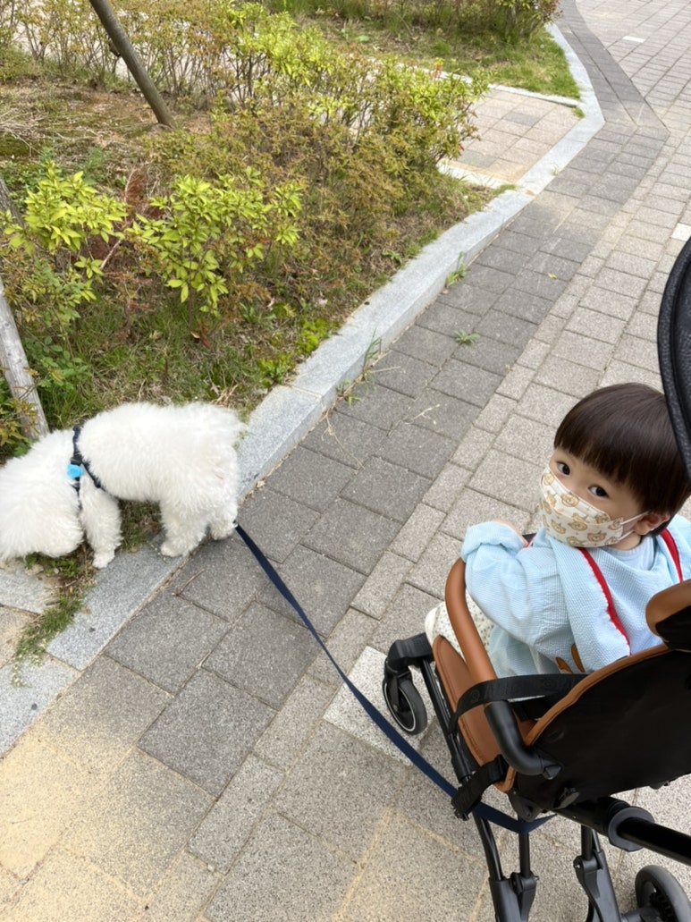 (주)이듄 이미지