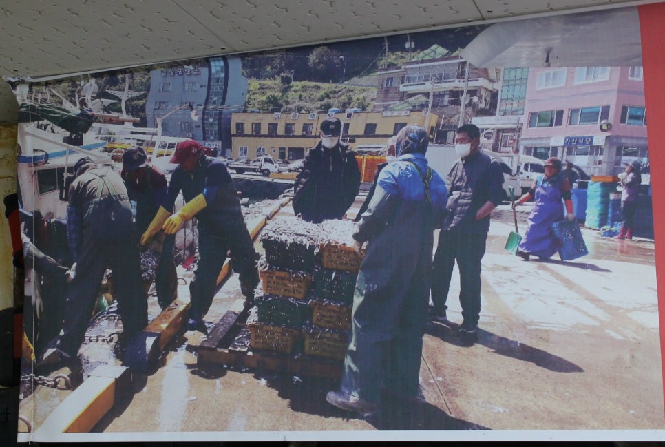 미조항식품 이미지