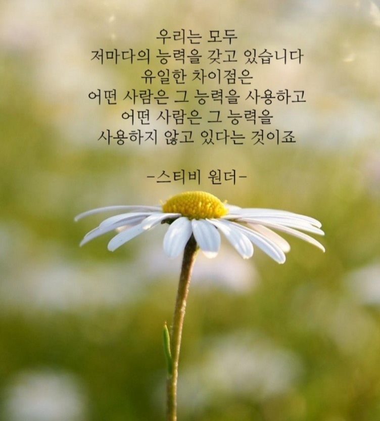 도원지기 이미지
