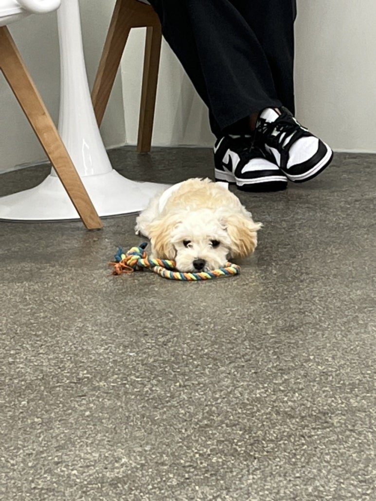카페오늘의 이미지