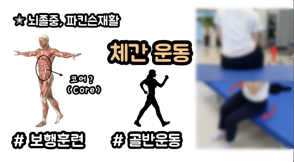 뉴힐링라이프재활운동센터안양 이미지