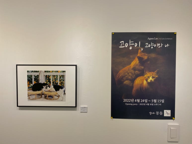 갤러리몽돌 이미지