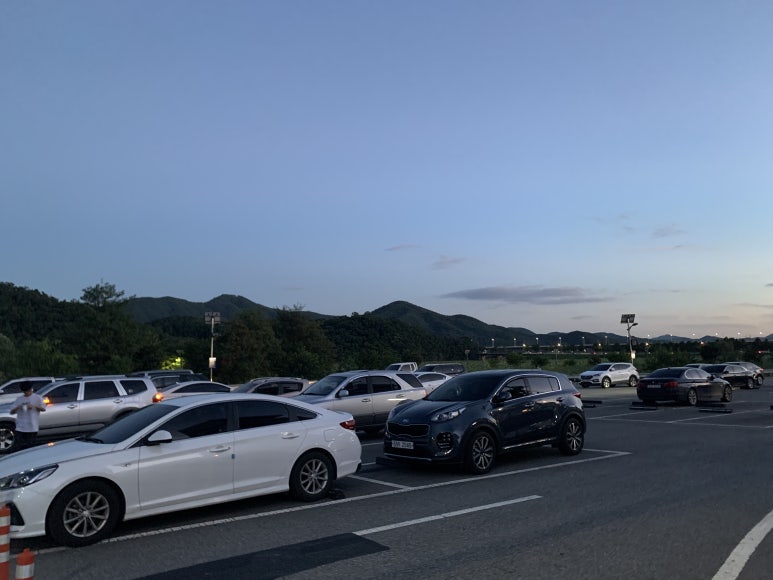 델레떼 이미지