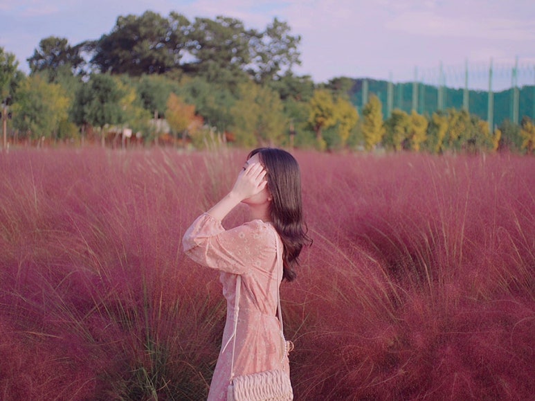 나리다방 이미지