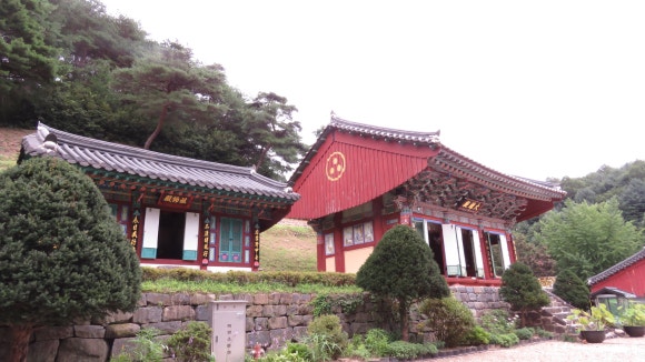 온새미로숲학교사회적협동조합 이미지