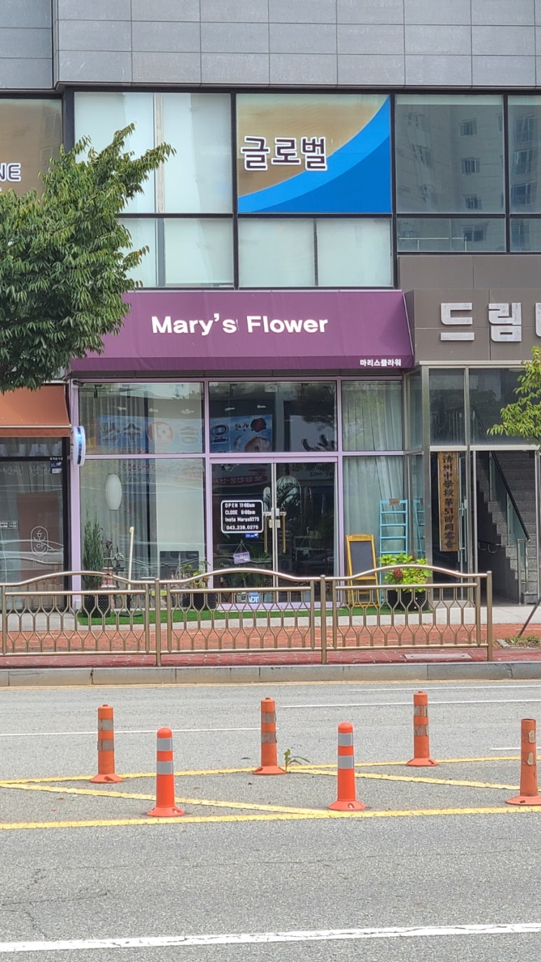 마리스플라워 이미지