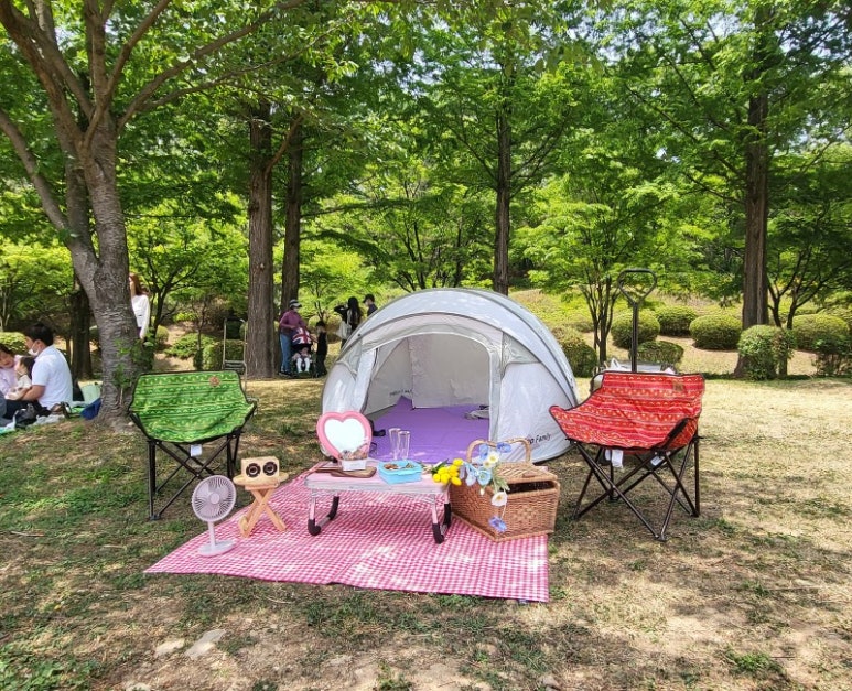 피크닉109 이미지