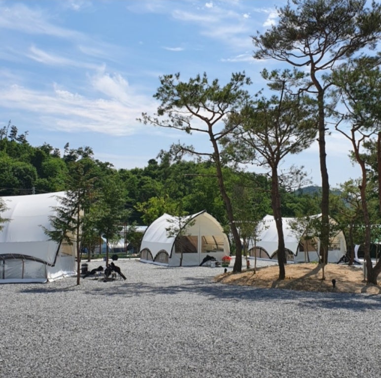 대둔산 양촌 벤자민 글램핑 이미지