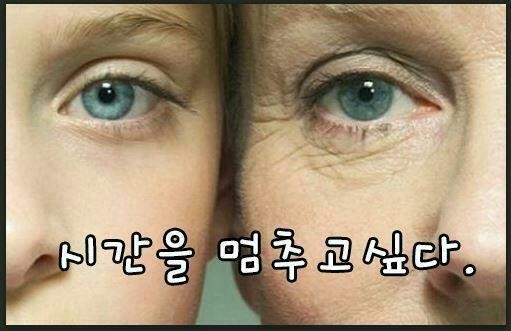 한성현콜라겐 이미지