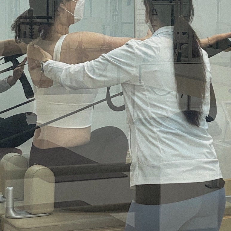 브엘라핏 이미지
