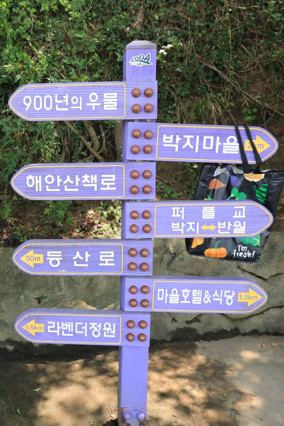 퍼플샵 이미지