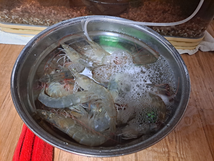 싸다뽀글이 이미지
