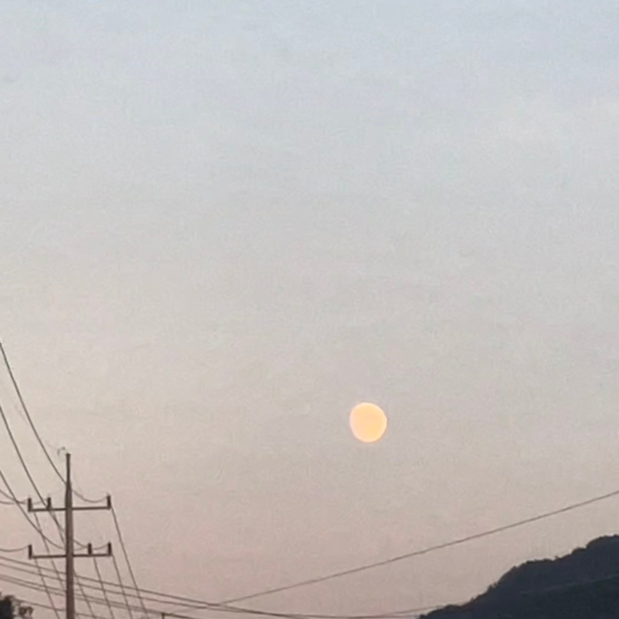 포천농협하나로마트 이미지