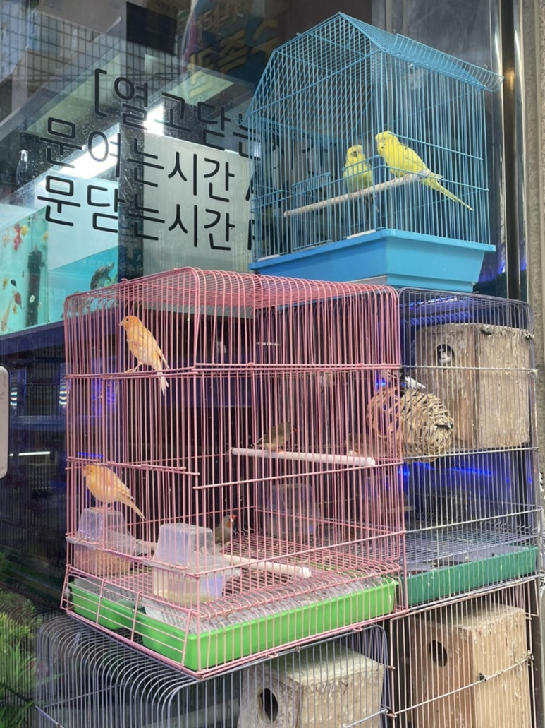물의나라수족관 이미지