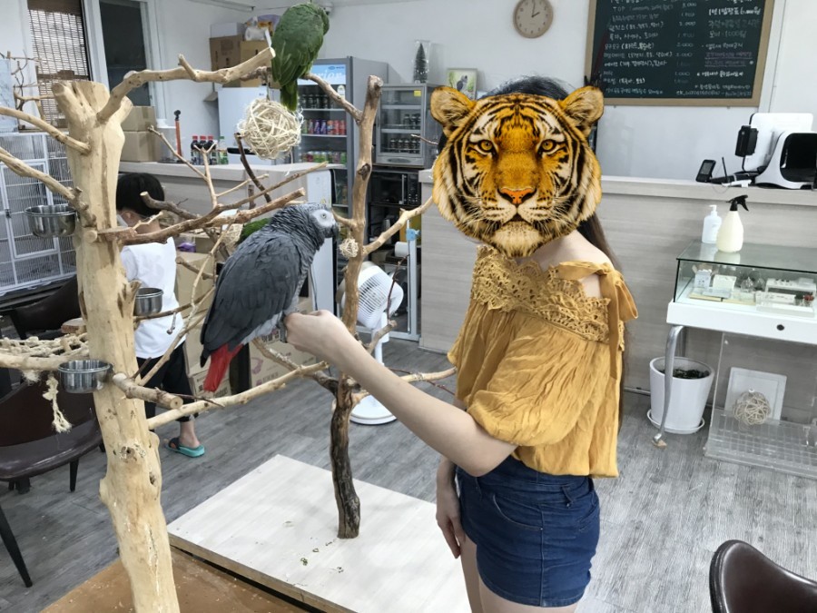 버드아뜰리에 이미지