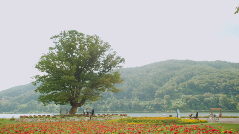 화천수산 이미지