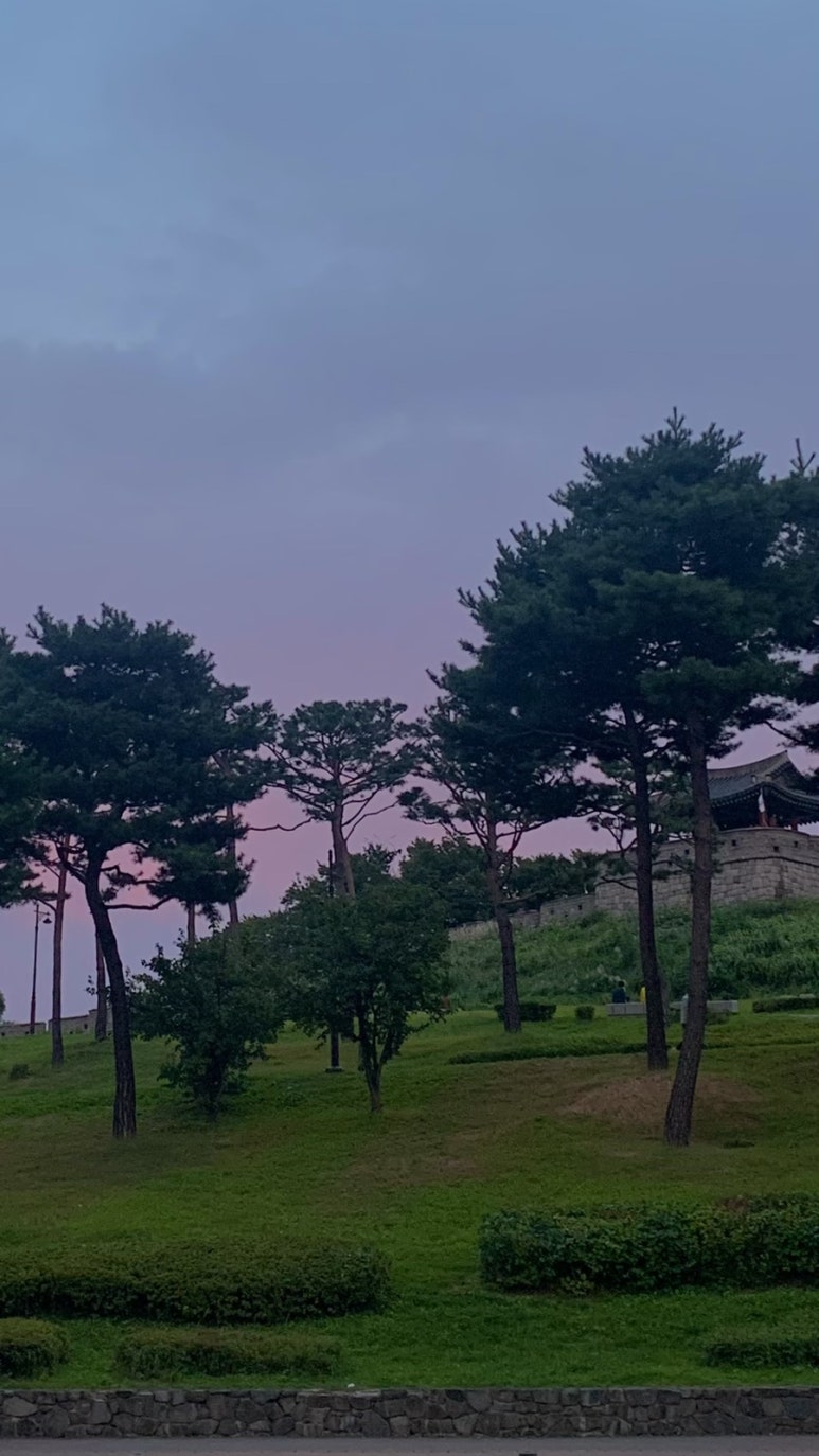 노다지회백화점 이미지