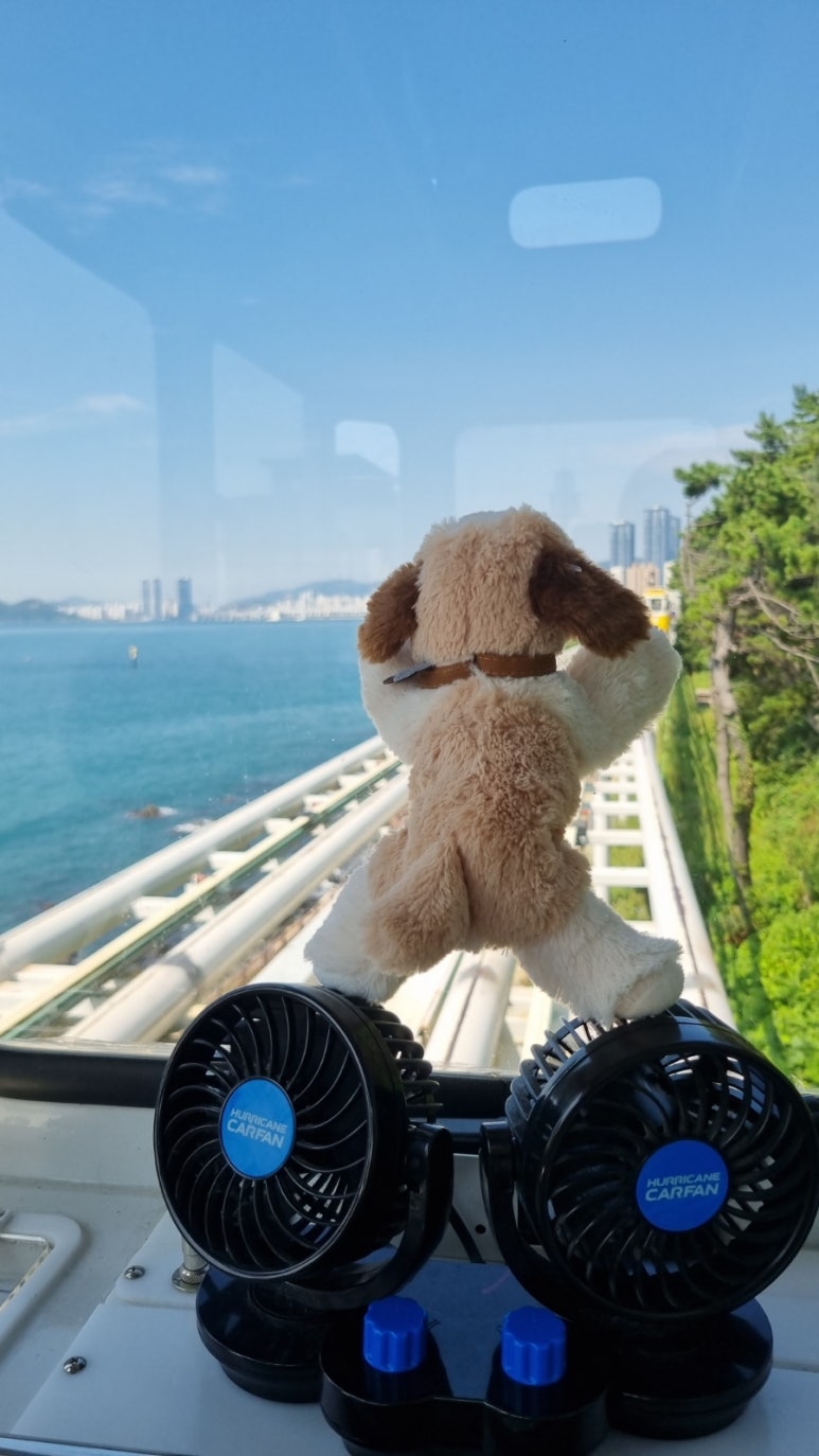 블루비치 관광농원 이미지