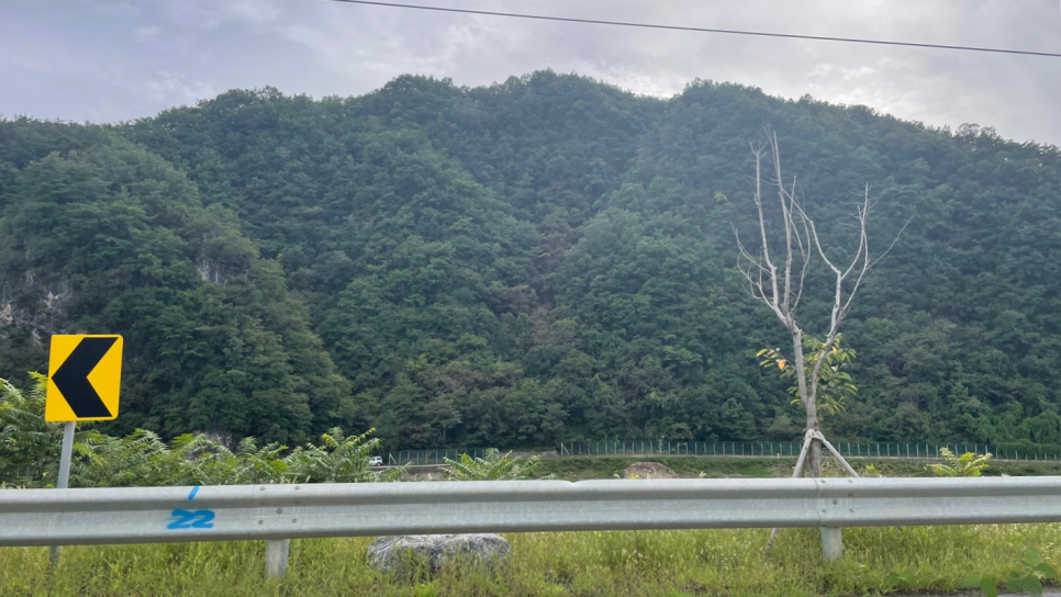 한반도리버2 이미지