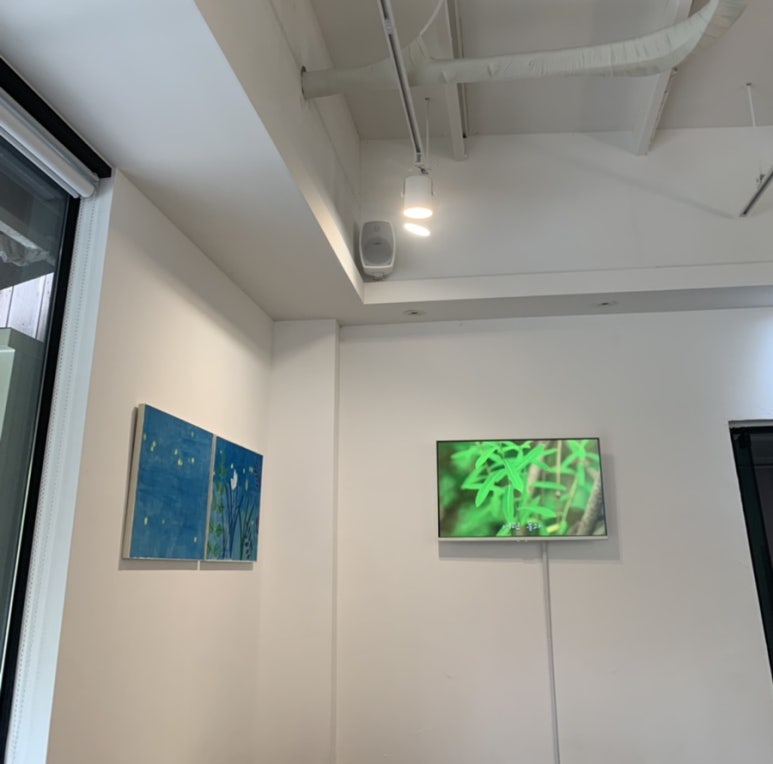 씨디피(CDP) 이미지