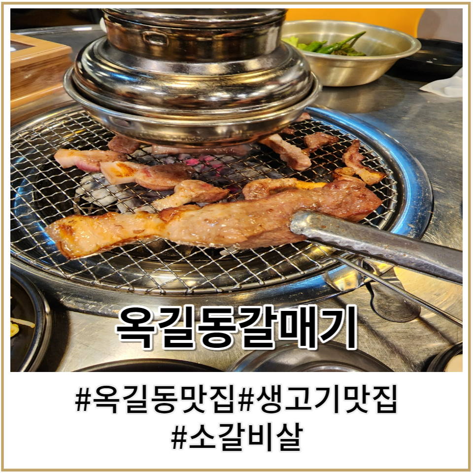 옥길동갈매기 이미지