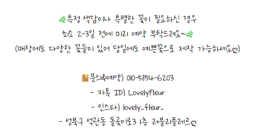 러블리플레르 이미지