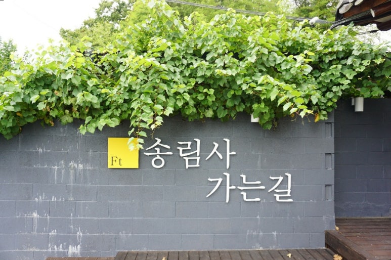 송림사가는길 이미지