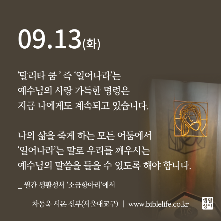 쿰나인 이미지