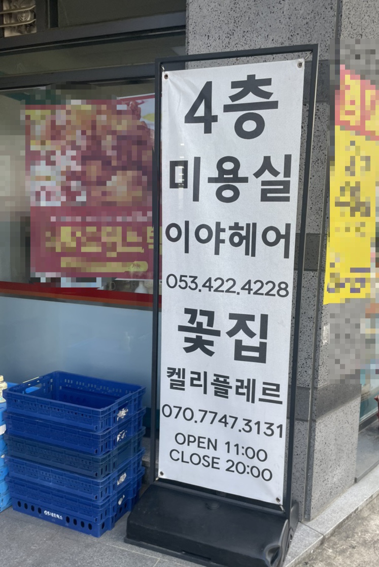 켈리플레르 이미지